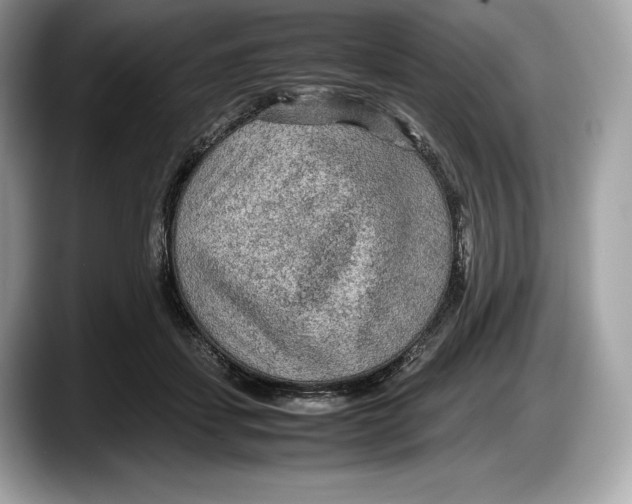 X0000087640459200705311330