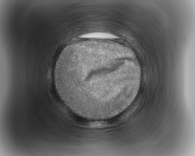 X0000087640461200705311330