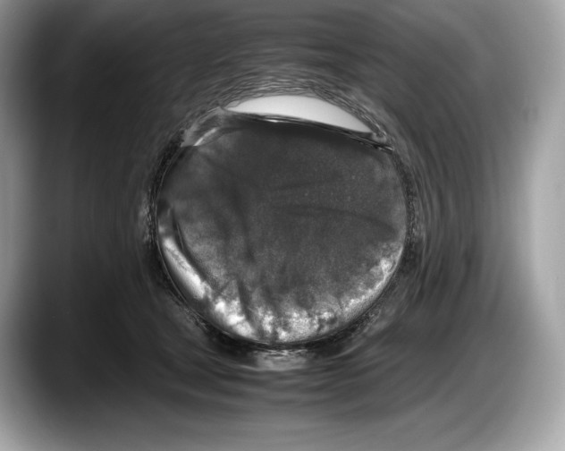 X0000087640465200705311330