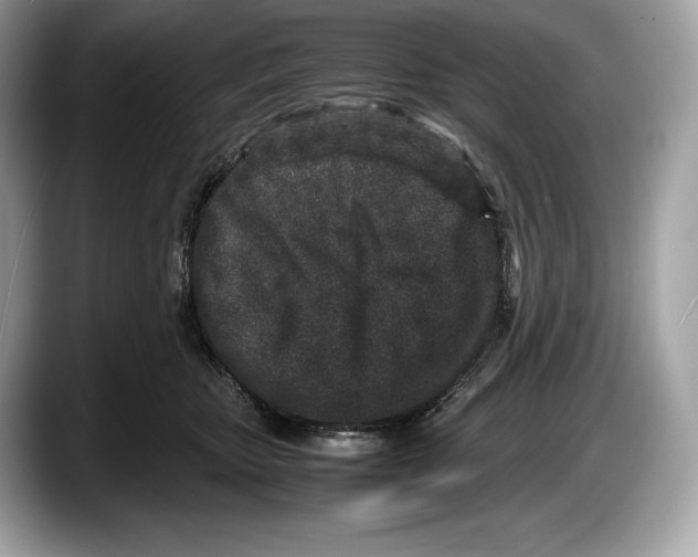 X0000087640467200705311330