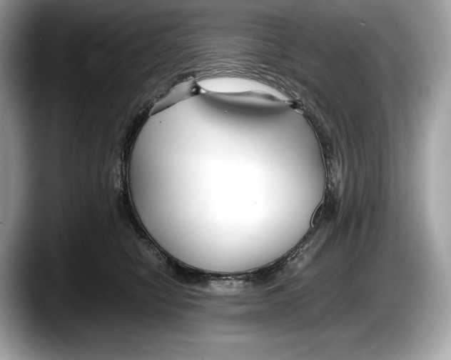 X0000087640470200705311330