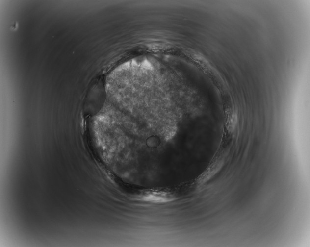 X0000087640471200705311330