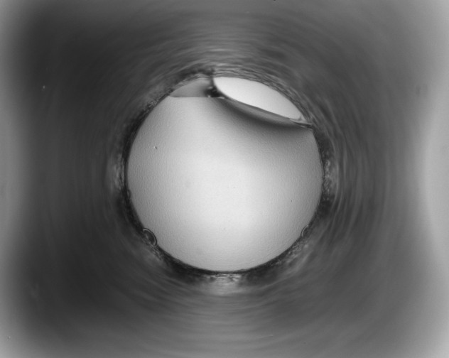 X0000087640474200705311330