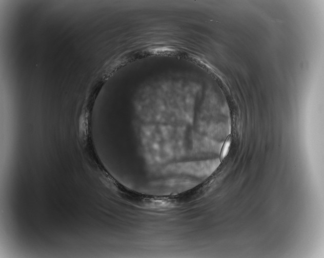 X0000087640475200705311330