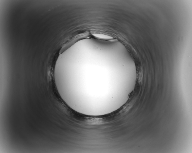 X0000087640476200705311330