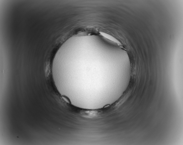 X0000087640478200705311330