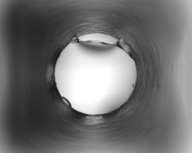 X0000087640480200705311330