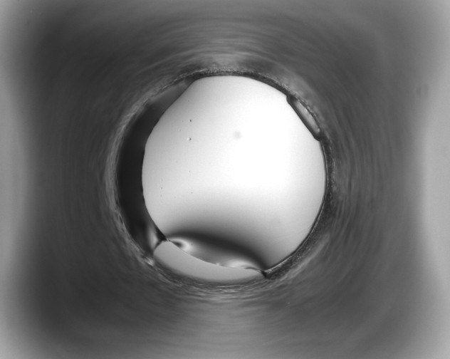 X0000087640481200705311329