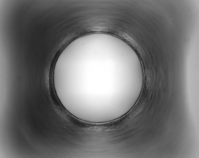 X0000087640482200705311329