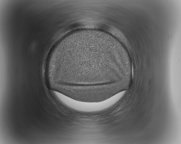 X0000087640483200705311329