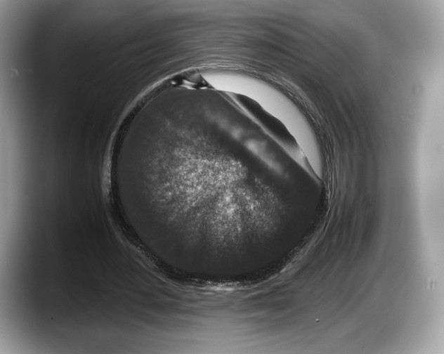 X0000087640484200705311329