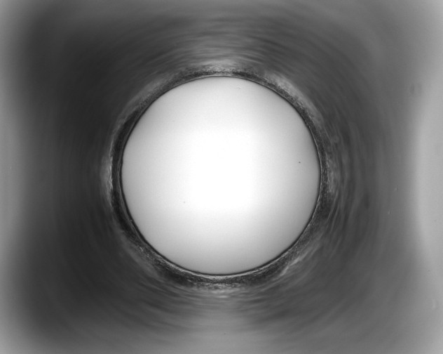 X0000087640486200705311329