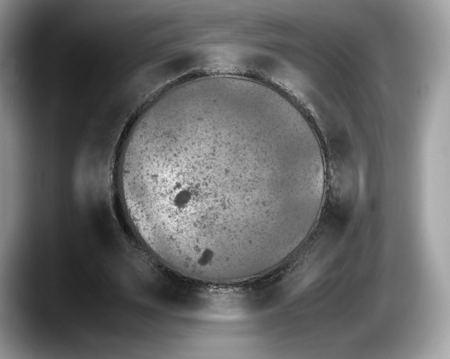 X0000087640487200705311329