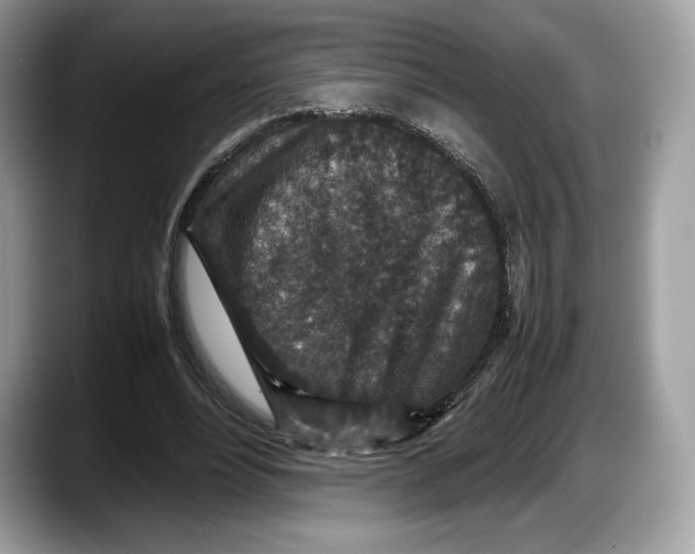 X0000087640488200705311329