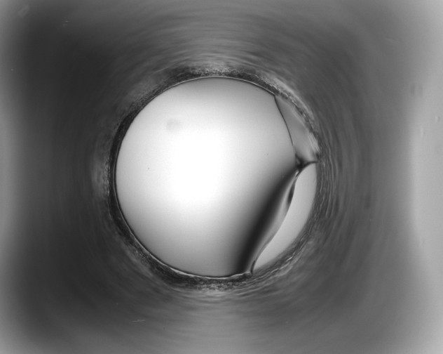 X0000087640489200705311329