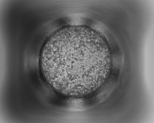 X0000087640491200705311329