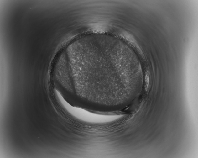 X0000087640492200705311329