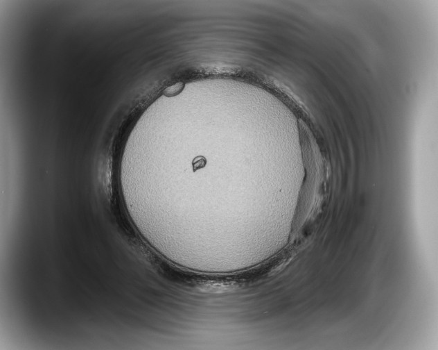 X0000087640494200705311329