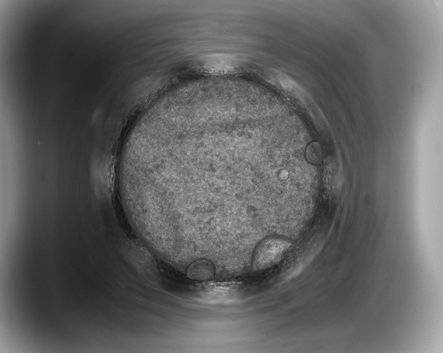 X0000087640495200705311329