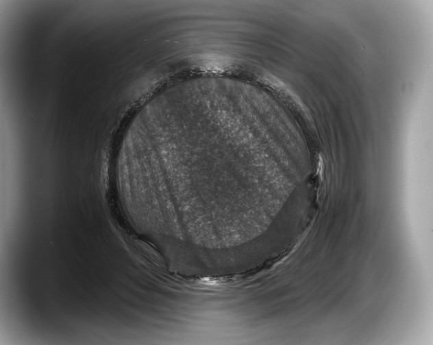 X0000087640496200705311329