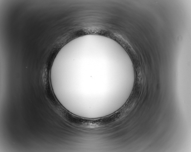 X0000087640498200705311329