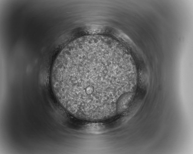 X0000087640499200705311329