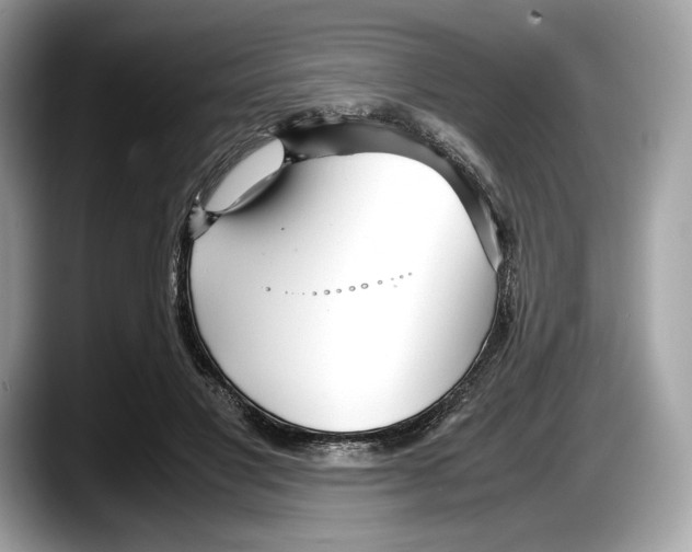 X0000087640501200705311329