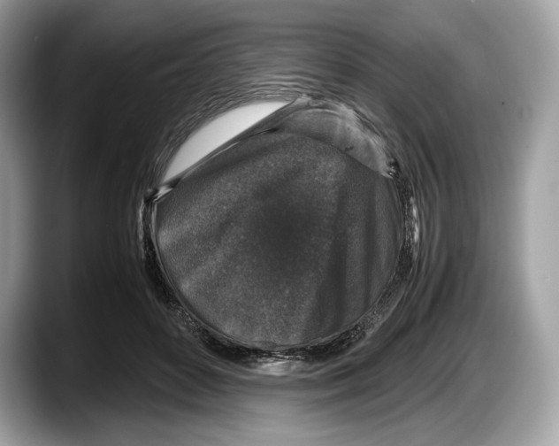 X0000087640504200705311329