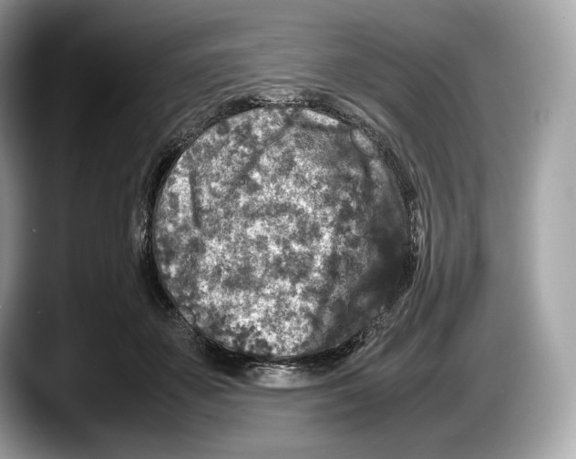 X0000087640507200705311329