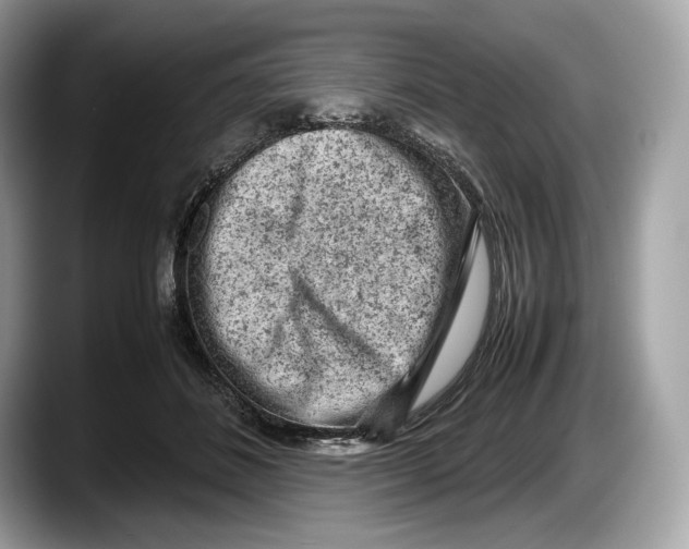 X0000087640508200705311329