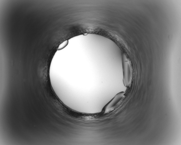 X0000087640509200705311329