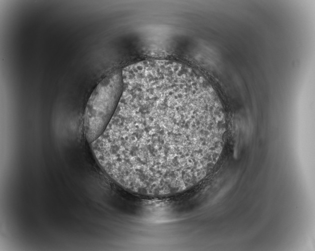 X0000087640511200705311329