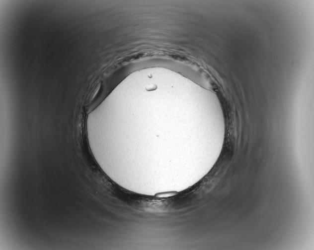 X0000087640513200705311329