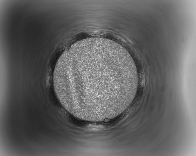 X0000087640515200705311329