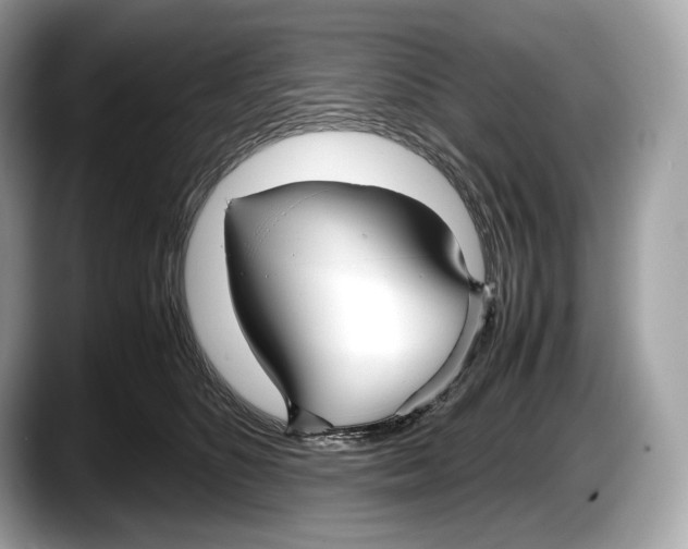 X0000087640516200705311329