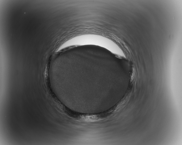 X0000087640517200705311329