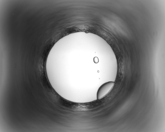 X0000087640518200705311329