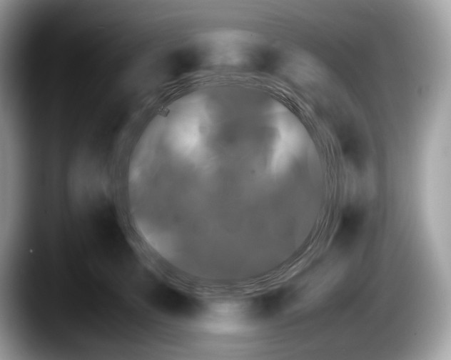 X0000087640519200705311329