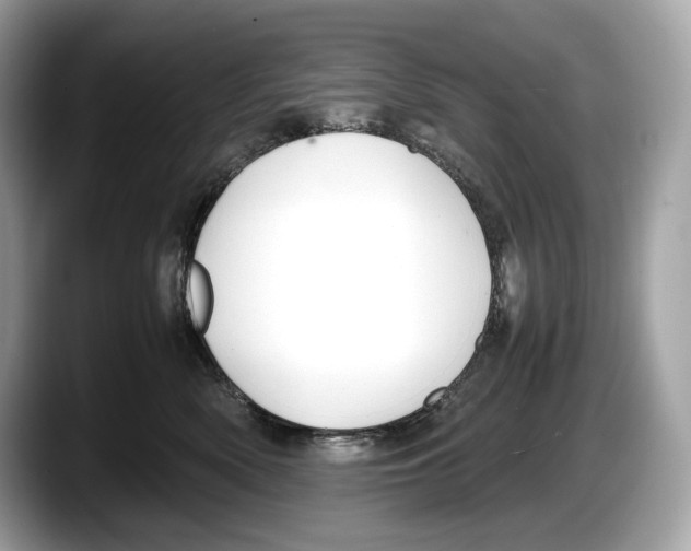 X0000087640522200705311329