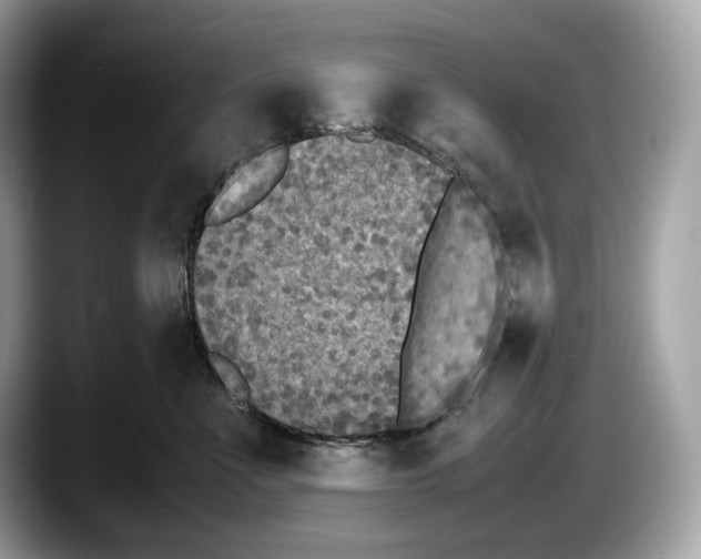 X0000087640523200705311329