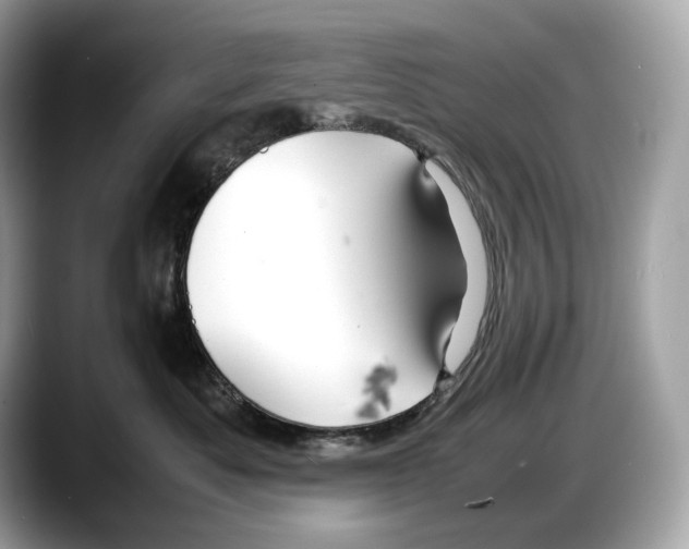 X0000087640525200705311329