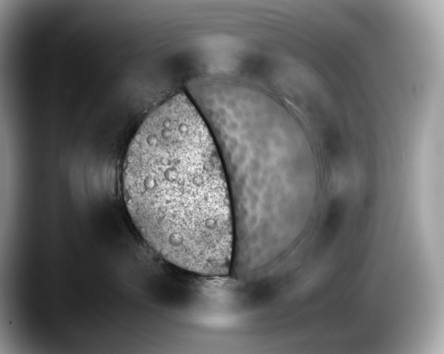 X0000087640527200705311329