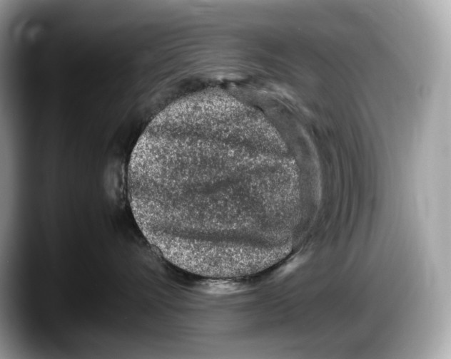 X0000087640528200705311329