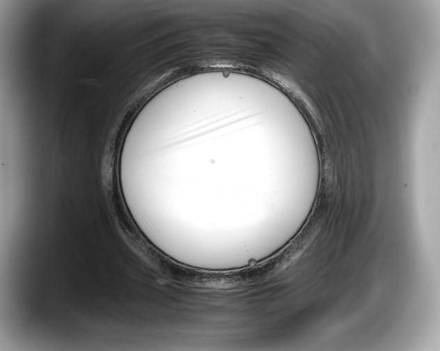 X0000087640533200705311328