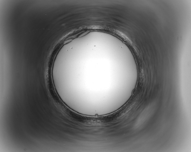 X0000087640535200705311328