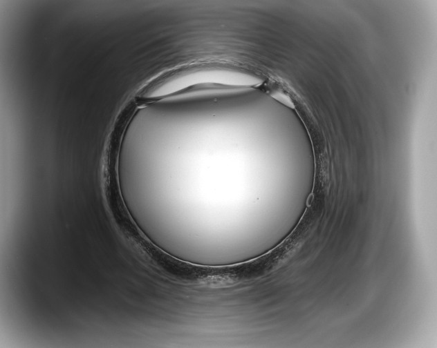 X0000087640536200705311328