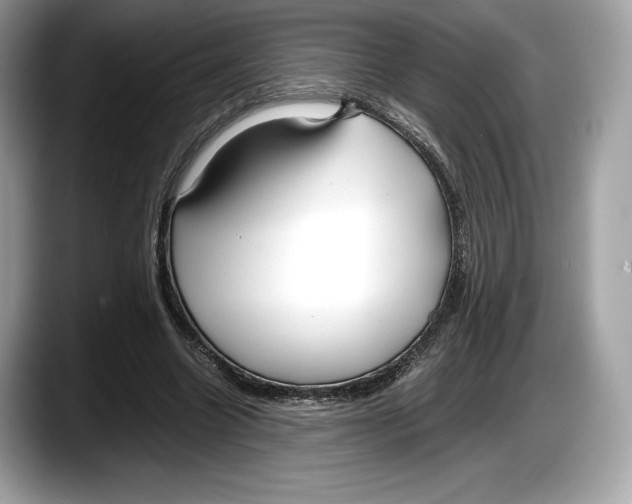 X0000087640538200705311328