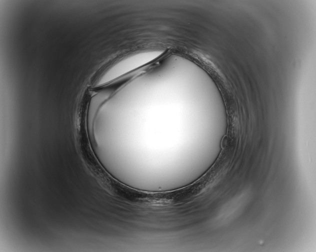 X0000087640539200705311328