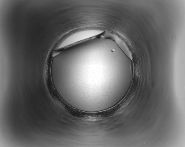 X0000087640540200705311328