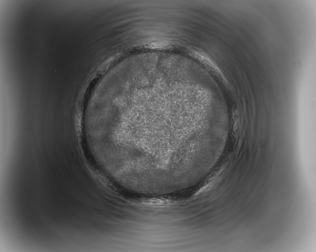 X0000087640542200705311328